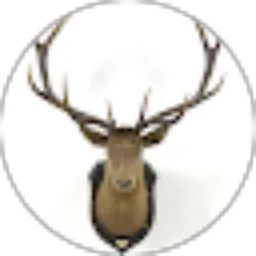 Review From Izzi 24