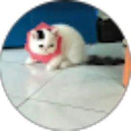 Review From rian cobby