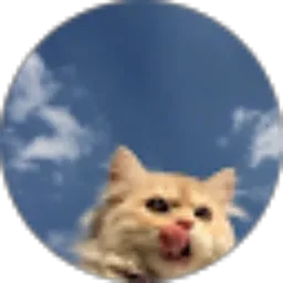 Review From Danis W.