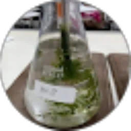 Review From Andry anton