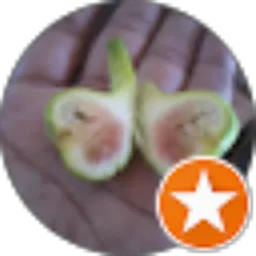 Review From tri sugianto