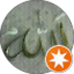 Review From Anto Joka