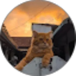 Review From Vian Adddrian