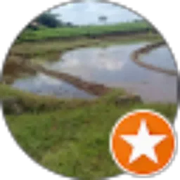 Review From Purwanto Clp