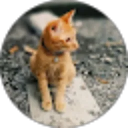 Review From Deta Pahlega