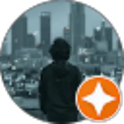 Review From Reichardt Angle