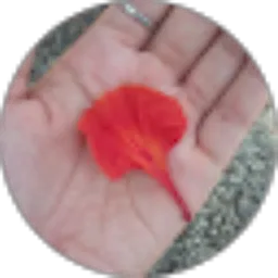 Review From Hanif Widhikinasih