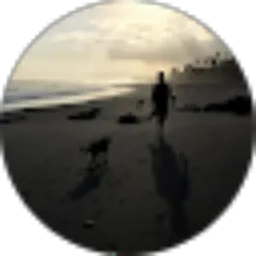 Review From Michael Knowles