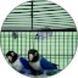 Review From denbagoes _27