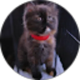 Review From Nanda Anggraini