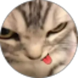 Review From nindia cristika