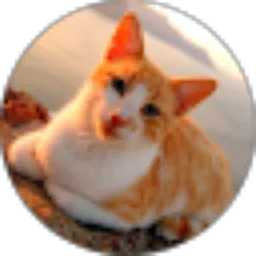 Review From gevira noya