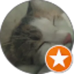 Review From Almira R.D.