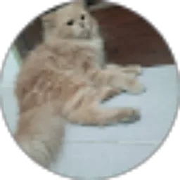 Review From Purnama Sari