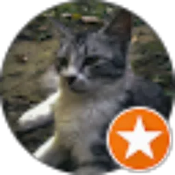 Review From Khikmah N.S.