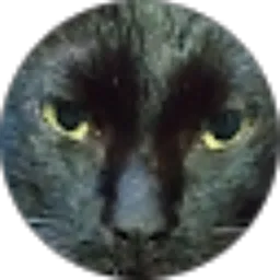 Review From Kebun Ceu Ntin