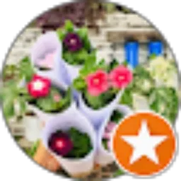 Review From Lucy Trias