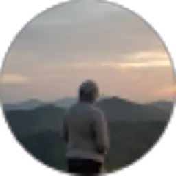 Review From aldi lingga