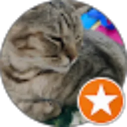 Review From Puji Lestari