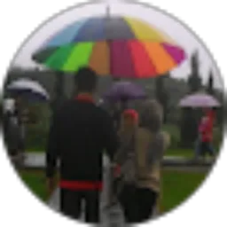 Review From Chabib Nurrohman