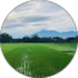 Review From Ruang Hirup