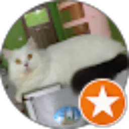 Review From PUTRA panji sentosa