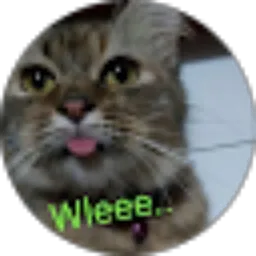 Review From Cats Republic