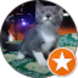 Review From Sonny Dwipa