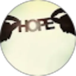 Review From Nico Sutjitro