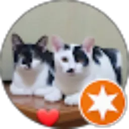 Review From TYFAWN