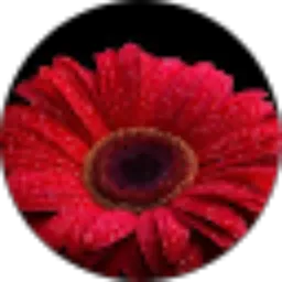 Review From Theresia Ana Susanti 058