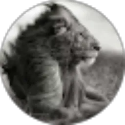 Review From Anon Brah