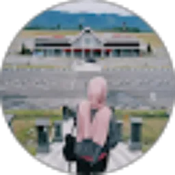 Review From Dyan Fahira