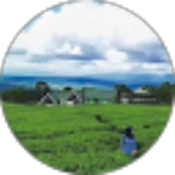 Review From fitri aprilia