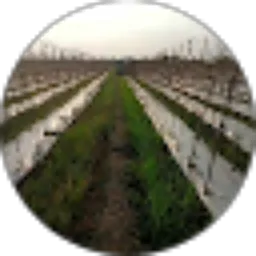 Review From Denn. yp