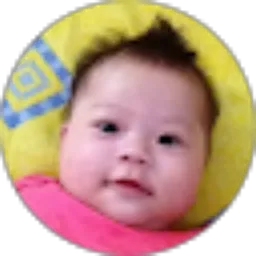 Review From Fira Huang