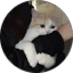 Review From Putri Fadila