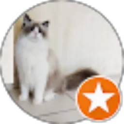 Review From Yosef Ependi