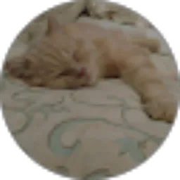 Review From alfian candra