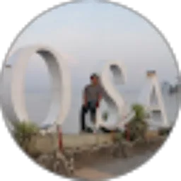 Review From budy setyawan