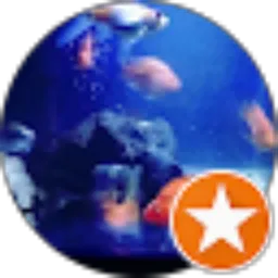 Review From Richie ritzs big bang