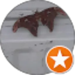 Review From Izhaq KPH