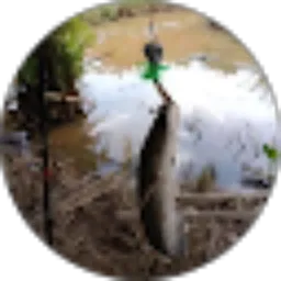 Review From Sniper Su'uk Bagamat