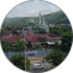 Review From Suwarno Warno