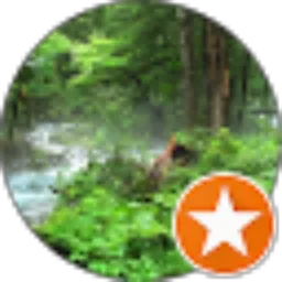 Review From Sandy Aryandy