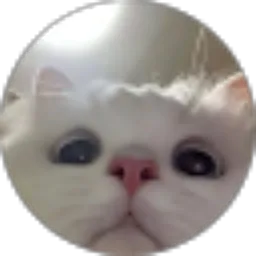 Review From Alan Maulana