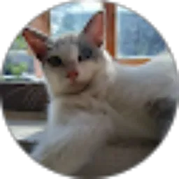 Review From sari Sari