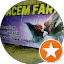 Review From 044 M. Fahmi Amrulloh