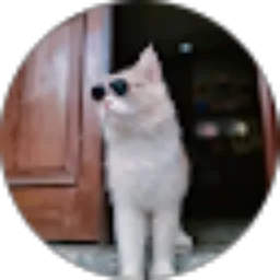 Review From Tatik Susilowati