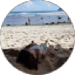 Review From Itsna Ayu Nur Wijayanti